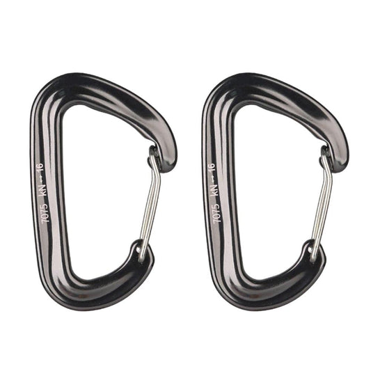 2 Pieces Small Carabiners Multifunctional Clip for Keys, Gray
