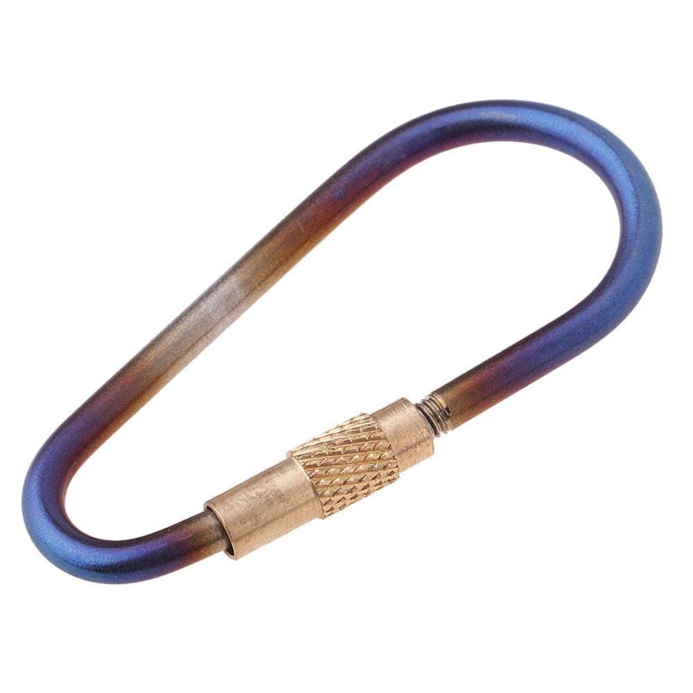 Titanium Keychain Carabiner, D Buckle, Key Holder Hook for Water Bottle Hanger, Backpack, Camping, Hiking, Fishing